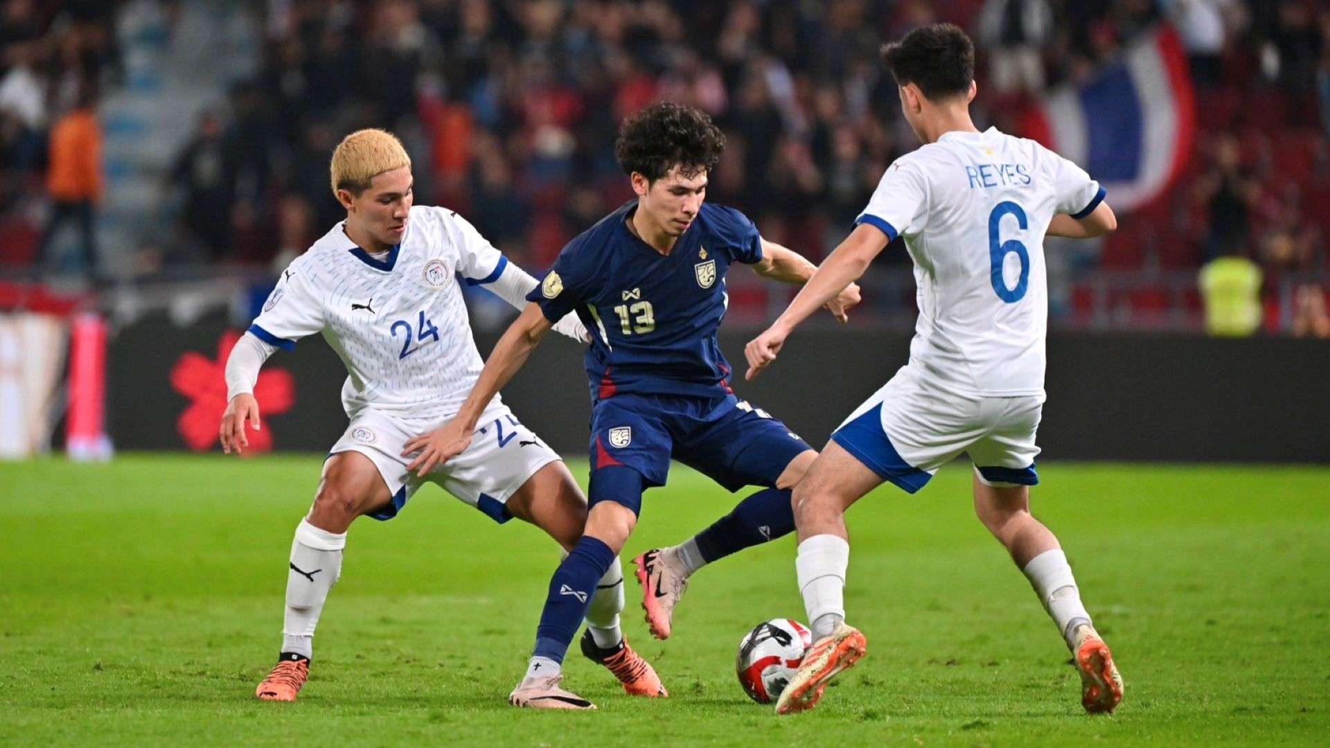 球迷可以为 球迷可以为