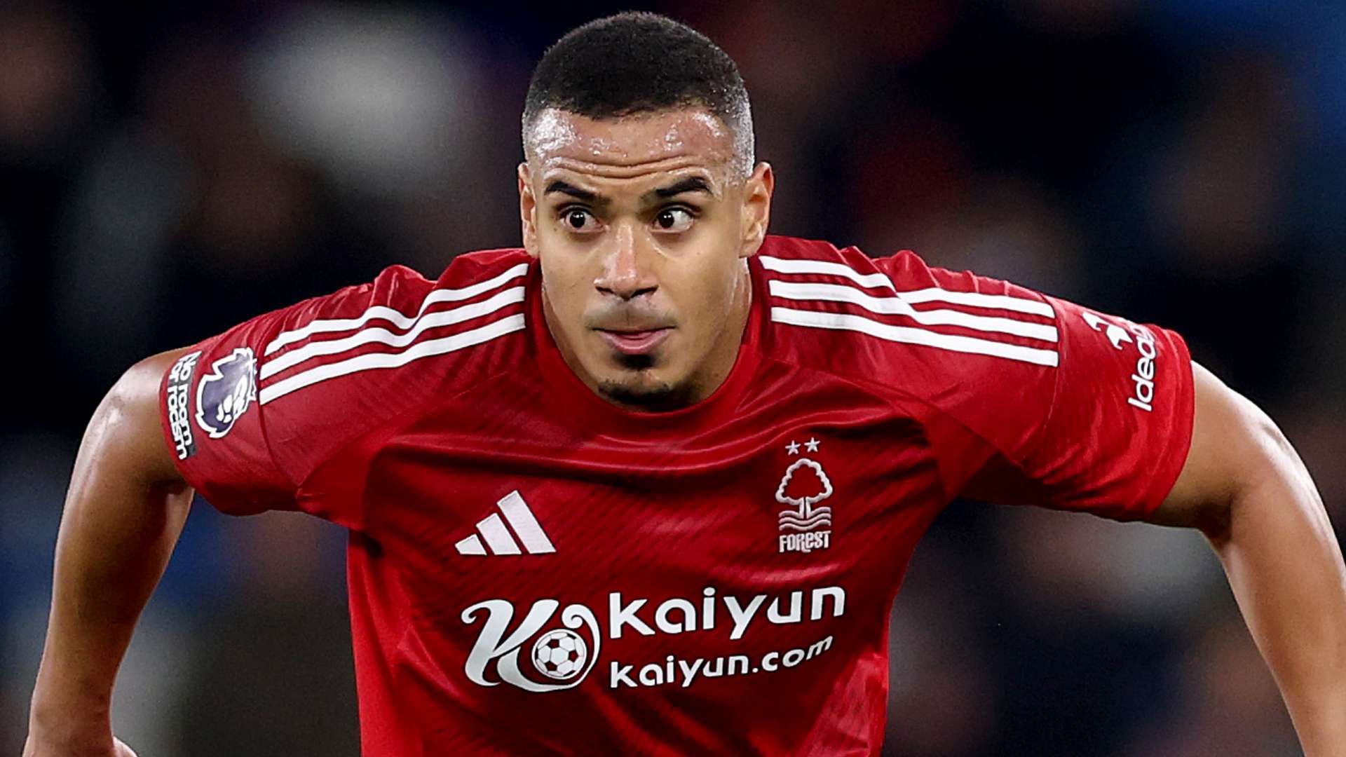 预测两对选 预测两对选